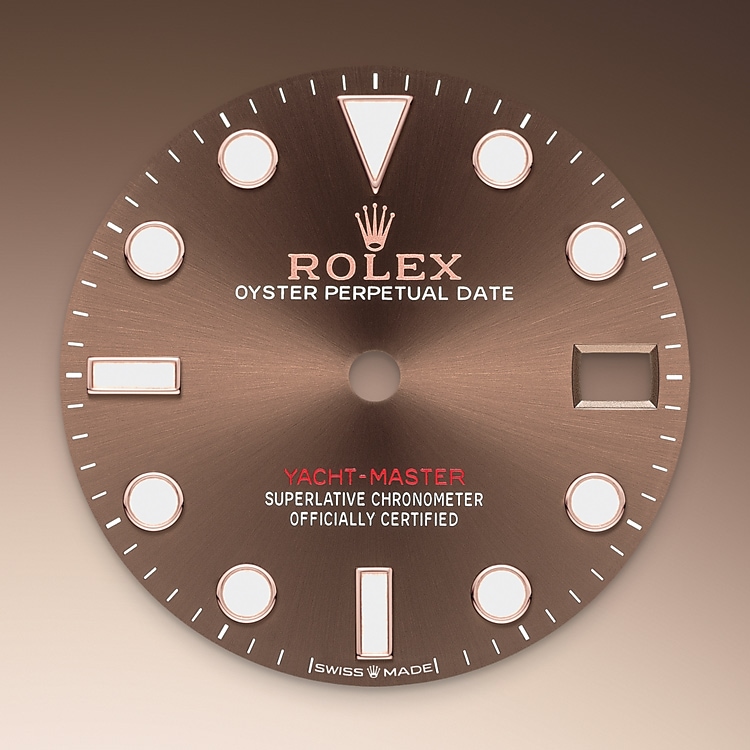 Rolex Chocolate Dial