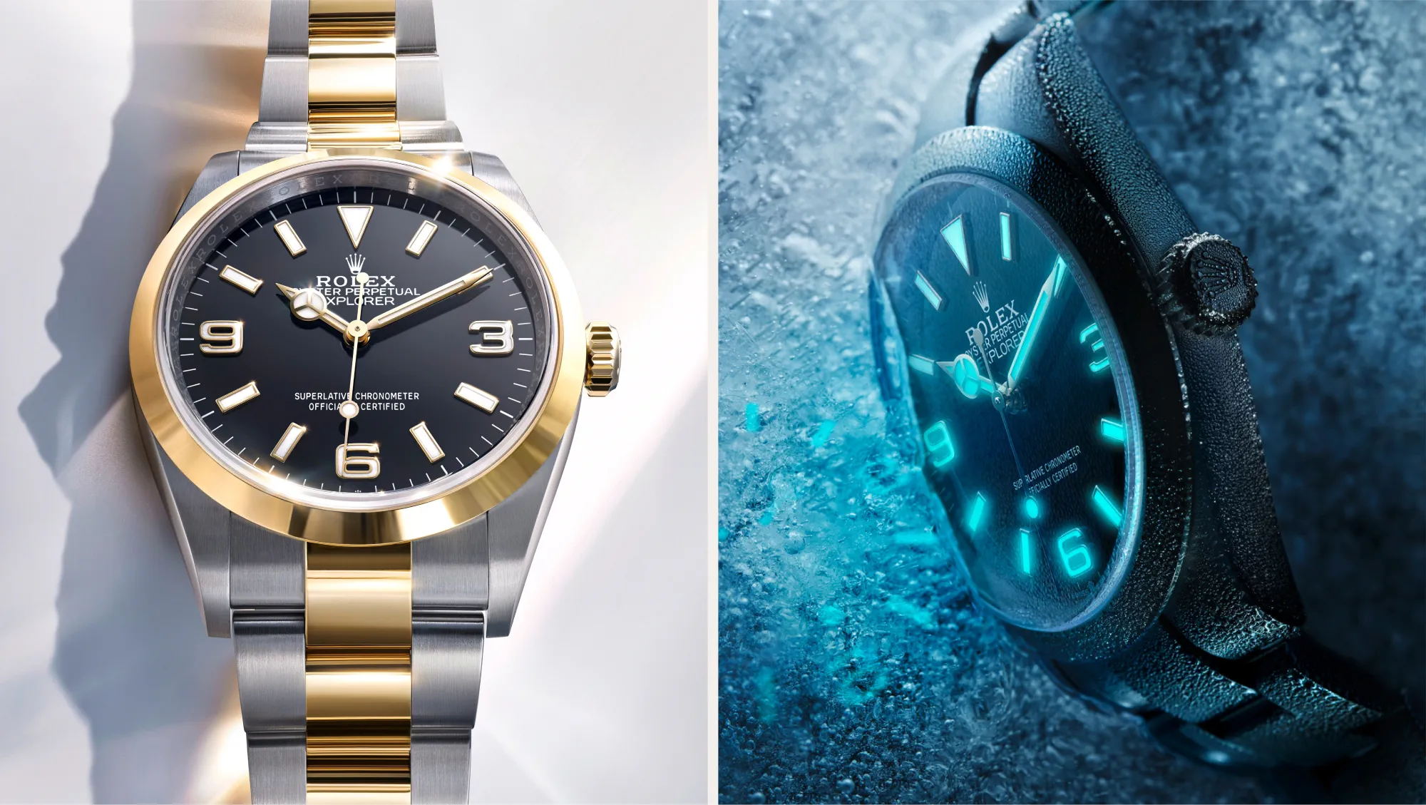 Rolex Explorer Watches | Chow Tai Fook Jewellery