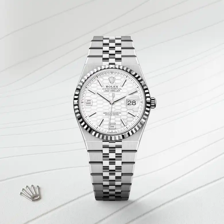Rolex Land-Dweller 36